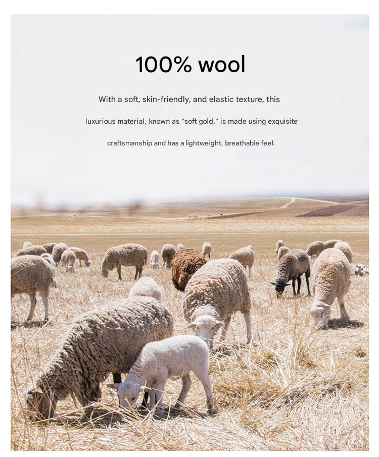 AW 100% Wool Knit Hoodie
