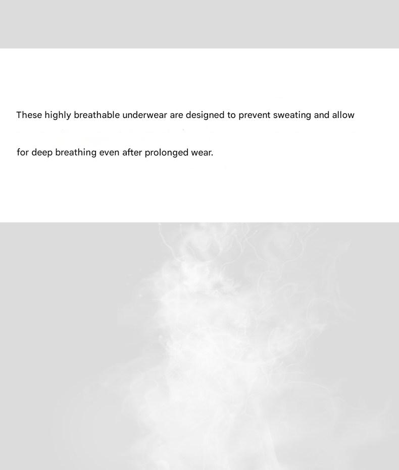 MONSEN Suitory Breathable Plus Size Underwear in Cotton product image