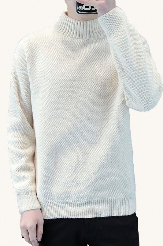MONSEN Suitory Mock-Neck Fleece Chenille Sweater in Fleece-Lined front view