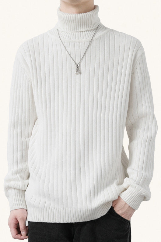 MONSEN Suitory Cotton Turtleneck Stretch Sweater product image