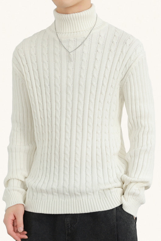 MONSEN Suitory Cotton Turtleneck Stretch Sweater product image