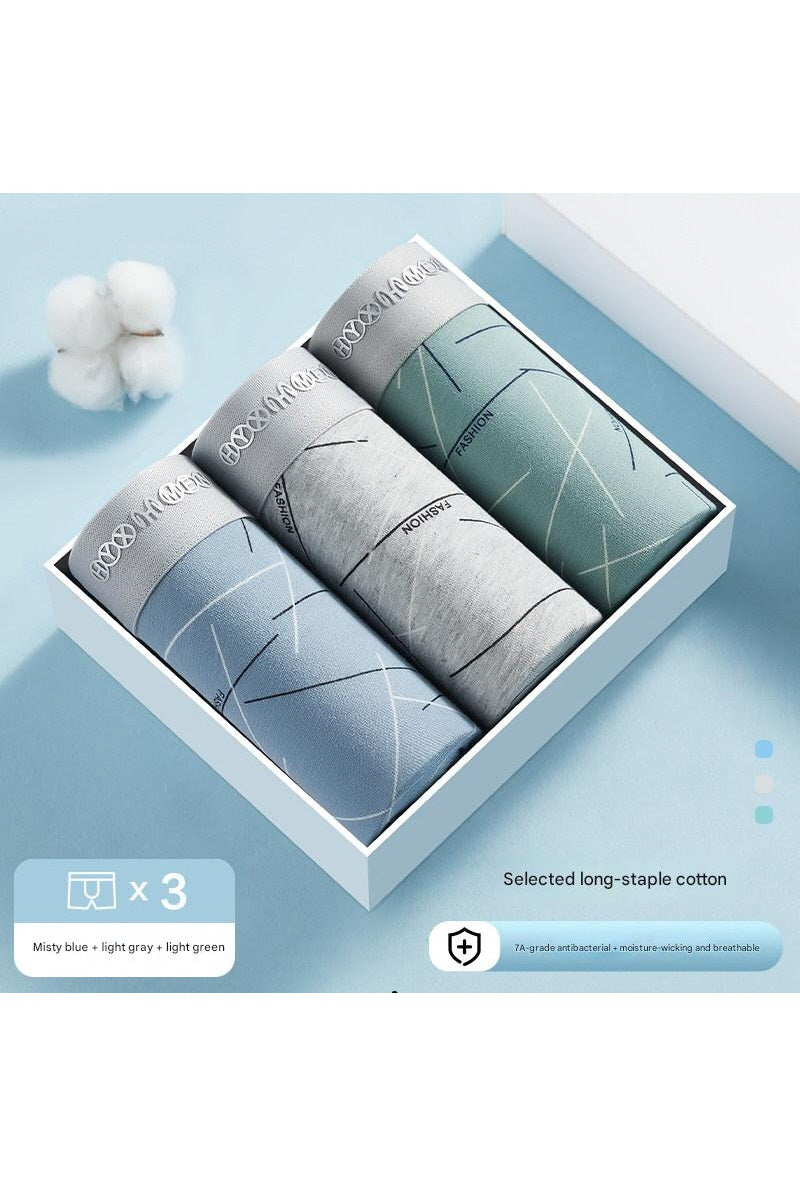 MONSEN Suitory Breathable Plus Size Underwear in Cotton product image