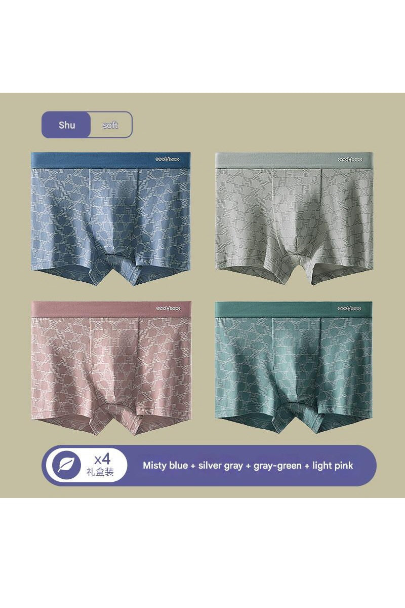 MONSEN Suitory Breathable Plus Size Underwear in Cotton product image