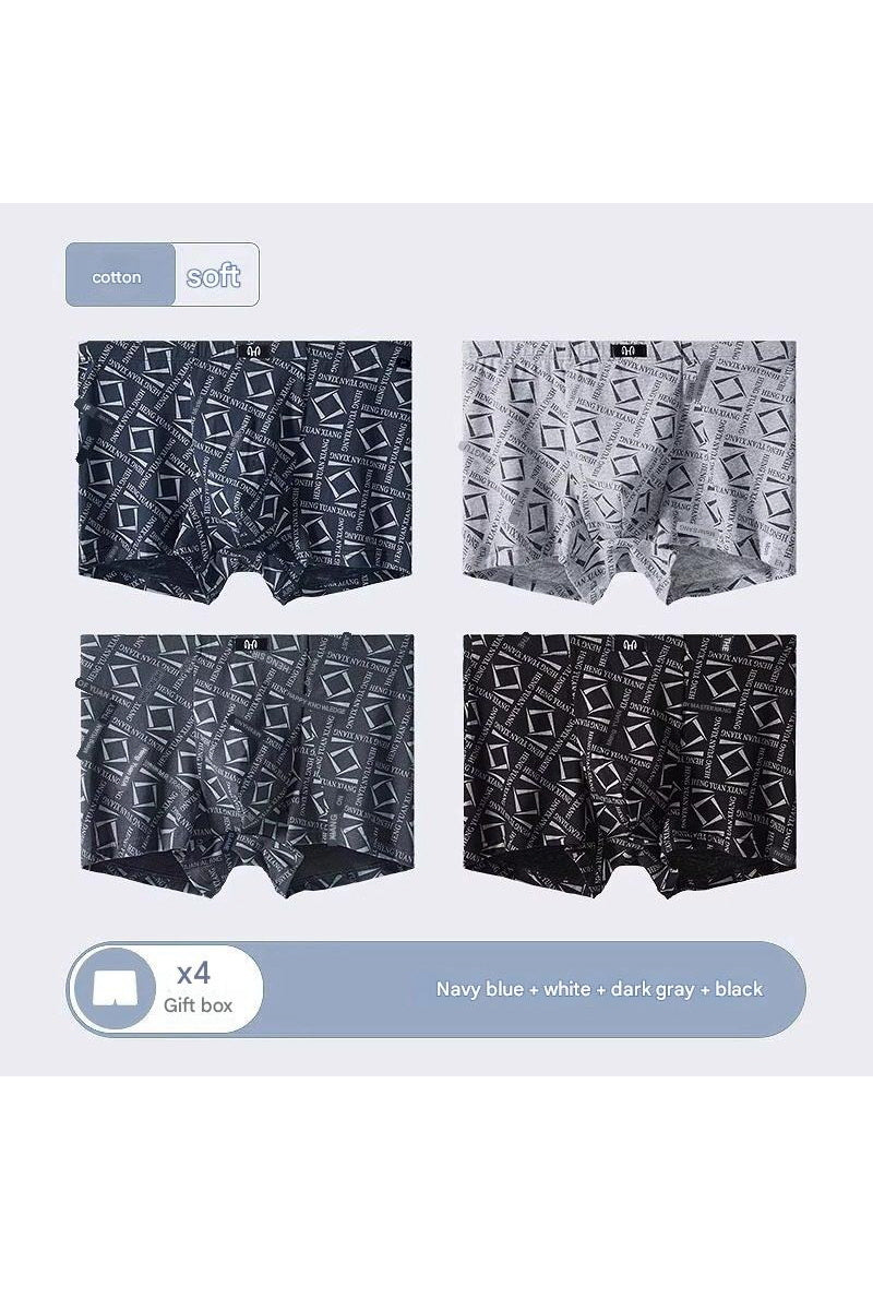 MONSEN Suitory Breathable Plus Size Underwear in Cotton product image